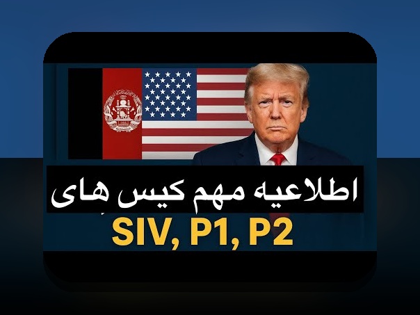 عملکرد صندوقهای مشترک ایران: درک بازده، هزینه و ریسک برای سرمایهگذاری هوشمند در %sitename%